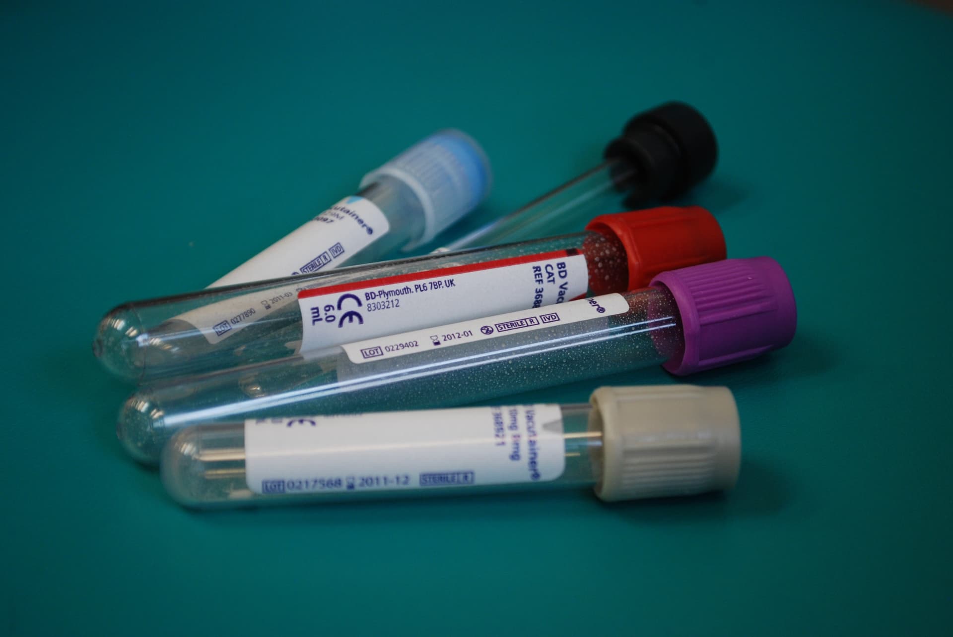 Health Checkup